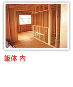 躯体内